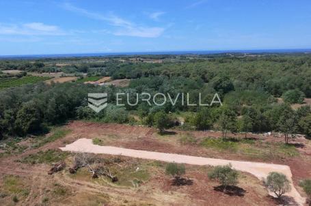 Istra, Brtonigla, Građevinsko zemljište 607 m², idealno za luksuznu vilu s bazenom