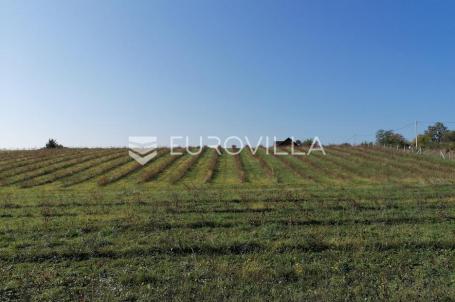 Vrhovina, posjed površine 6 ha, ODLIČNA INVESTICIJA
