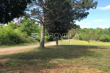 Istra, Sveti Lovreč okolica, građevinsko 538m2 i poljoprivredno zemljište ukupne površine 48294m2