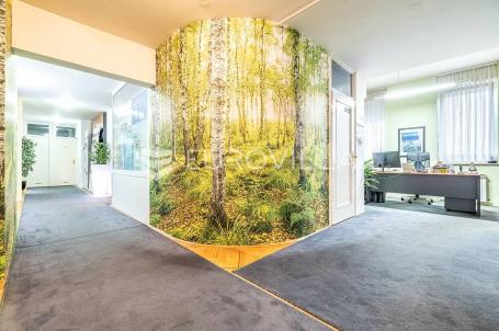 Zagreb, Centar, poslovni prostor, 275 m²
