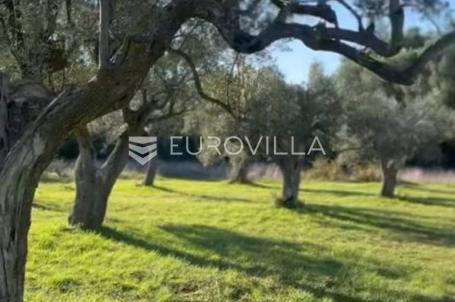 Istra, Galižana, atraktivno građevinsko zemljište 3600 m2