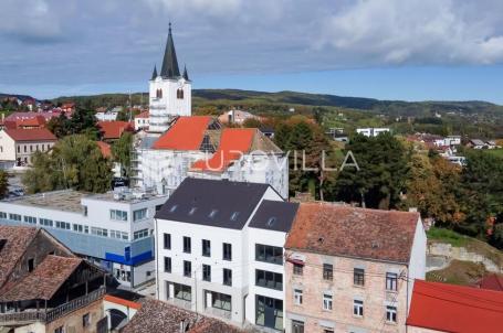 Sveti Ivan Zelina, izvrstan poslovni prostor u strogom centru, 296 m²