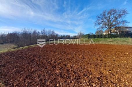 Istra, Tinjan, građevinsko zemljište u mirnom okruženju