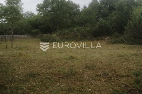 Istra, Svetvičenat okolica - prostrano miješovito zemljište 11595 m2