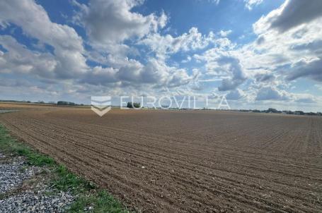 Kuševac, atraktivno poljoprivredno zemljište uz cestu, 4 ha
