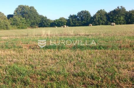 Istra, Svetvinčenat, poljoprivredno zemljište 8182 m²