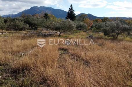 Šestanovac, atraktivna parcela uz put, 4200 m², mogućnost obročne otplate