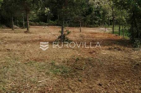 Istra, okolica Labina, građevinsko zemljište 3000 m2
