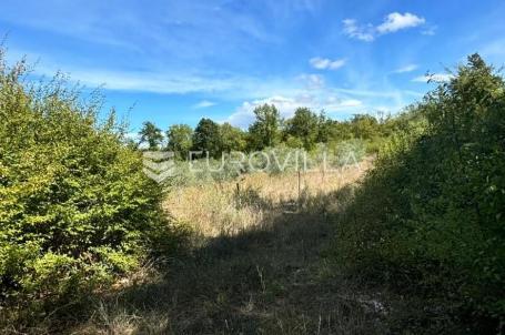 Poreč, Nova Vas, poljoprivredno zemljište u oazi mira