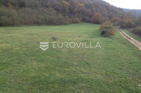 Istra, Kanfanar, uređeno poljoprivredno zemljište 13.270 m2