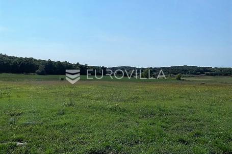 Istra, Poreč okolica poljoprivredno gospodarsko zemljište 2401 m2, Mugeba