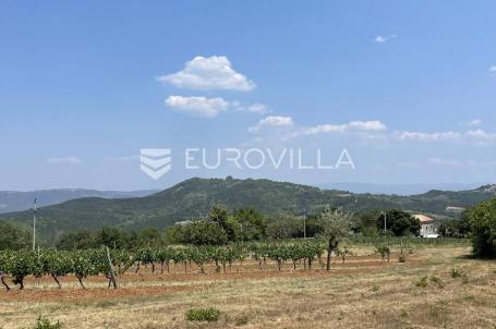 Istra, Rakotule, građevinsko zemljište s ishodovanom dozvolom za villu s bazenom, 1046 m²
