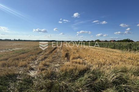 Ivankovo, građevinsko zemljište 2.532 m² + oranica 2.550 m²