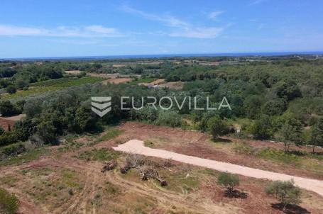 Istra, Brtonigla, Građevinsko zemljište 604 m², idealno za luksuznu vilu s bazenom