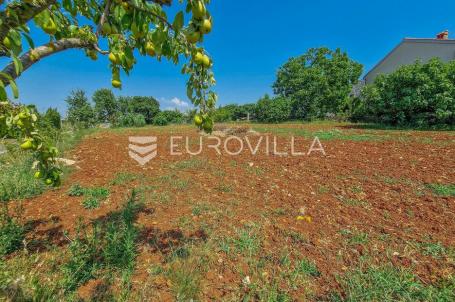 Istra, Novigrad, građevinsko zemljište od ukupno 1119m2