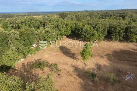 Istra, Tinjan, Građevinsko zemljište 3623 m²