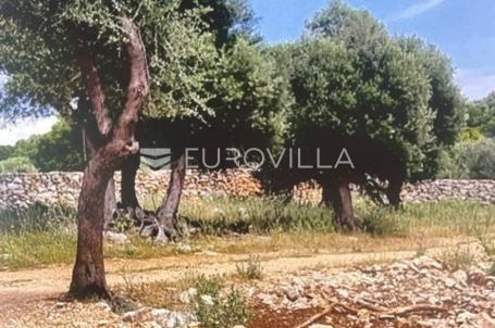 Pag, Lun, građevinsko zemljište 650 m²