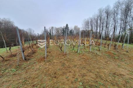 Duga Resa, Galović Selo, poljoprivredno zemljište 1400 m2 s vinogradom