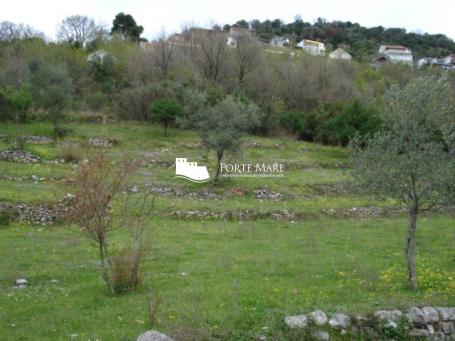 Nekretnine Crna Gora, Herceg Novi, Zelenika