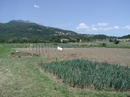 Nekretnine Crna Gora, Herceg Novi, Sutorina