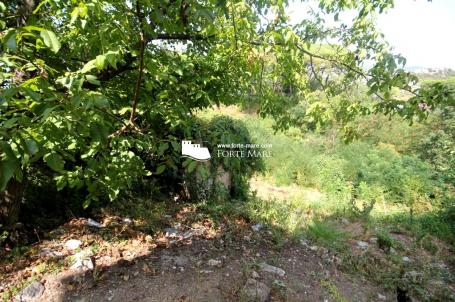 Nekretnine Crna Gora, Herceg Novi, Srbina