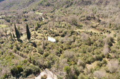Property in Montenegro, Herceg Novi, Sasovici