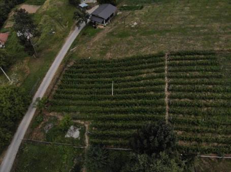 Prodaje se poljoprivredno zemljište, 6907 m², Velika Župa, Prijepolje