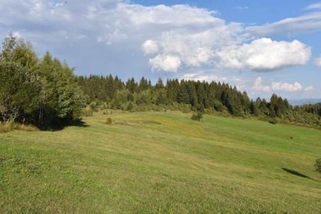 Prodaje se poljoprivredno zemljište 2617 m² , Zlatar, Nova Varoš