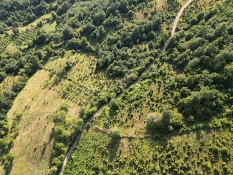 Prodaje se poljoprivredno i šumsko zemljište 5,23 ha, Kaluđerovići, Priboj