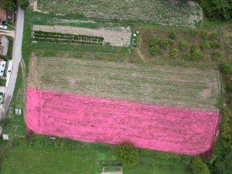 Prodaje se polj. i građevinsko zemljište 5697  m² , Ratajska, Prijepolje