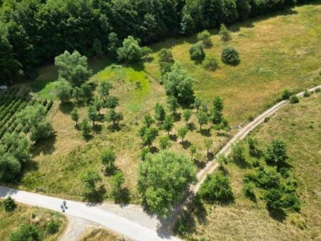 Prodaje se poljoprivredno zemljište 3517 m², Hisardžik, Prijepolje