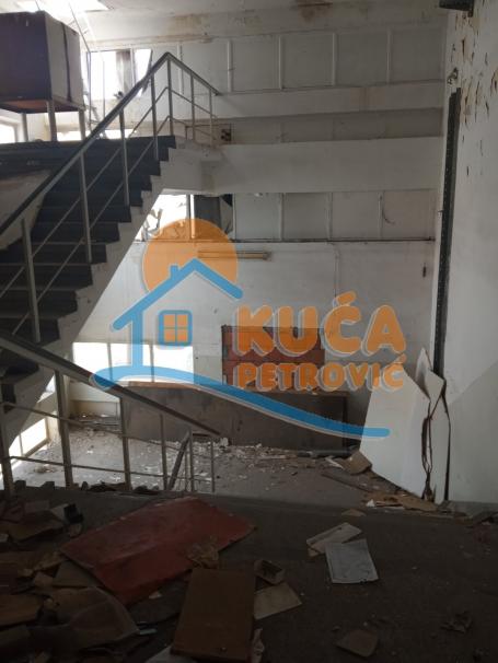 Izdavanje, Poslovni prostor, 1260m2 , Medijana