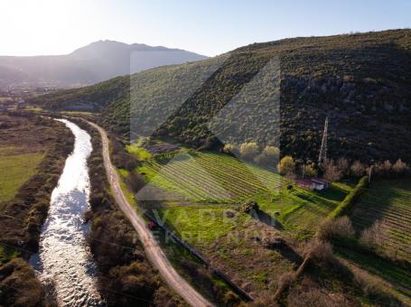 Prodaja, Zemljište, Podgorica, Beri, 13000m2