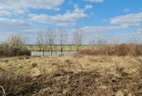 Surcin, Becmen, Vlasnik 1/1, 22ara