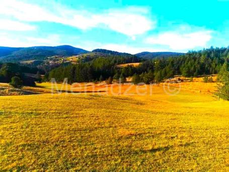 Tara, zemljiste 184 ara, informacija o lokaciji