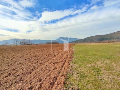 Plac, 4552m2, Donja Gorica, Podgorica
