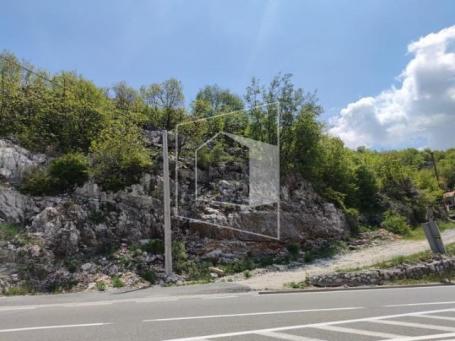 Plac, 21000m2, Crna Greda, Cetinje
