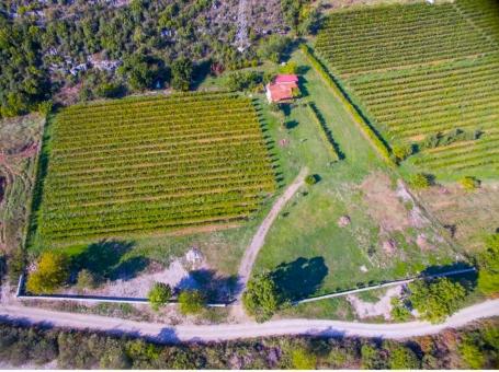 Plac, 13000m2, Beri, Podgorica