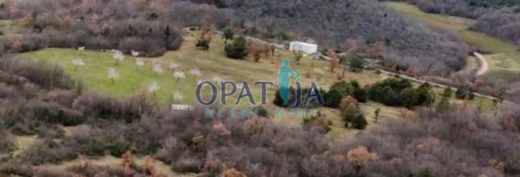 Istra - apsolutna prilika - 2 male kuće sa ukupno 21700 m2