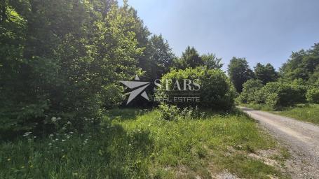 Gorski kotar, Delnice - Polane vikend naselje, građevinski teren 2564 m2
