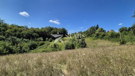 BUKOVLJE, GENERALSKI STOL – POLJOPRIVREDNI TEREN S POTENCIJALOM, 5.963 m²