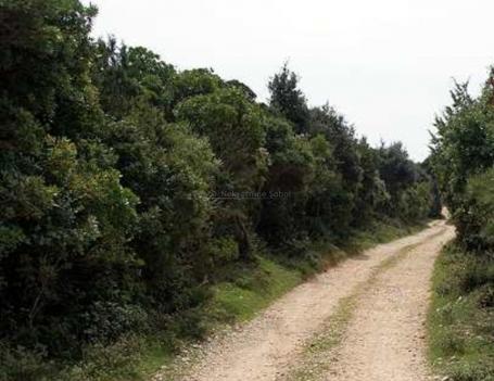 Mali Lošinj - Kuća (Ruševina), 72 M2