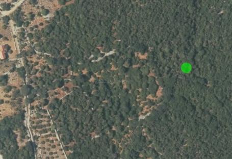 Punta Križa, Otok Cres - Poljoprivredno, 2328 m2