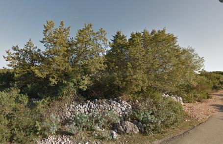 Punta Križa, Otok Cres - Poljoprivredno, 68484 m2
