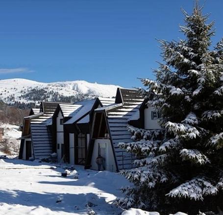 Kopaonik, novi useljivi apartmani, ski lift do staza u centru .. 