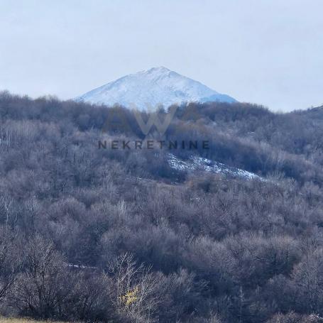 Boljevac - Dobrujevac , zemljište u komadu povšine 44242m2 sa ucrtanim objektom 35m2
