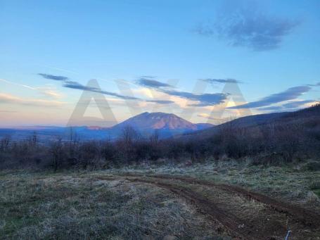 Jablanica - Boljevac   Poljoprivredno zemljiste , dve parcele u jednoj celini povrsine 10128m2