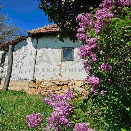 Bogovina-staroseosko domacinstvo sa oko 3ha zemljista u komadu (33568m2)