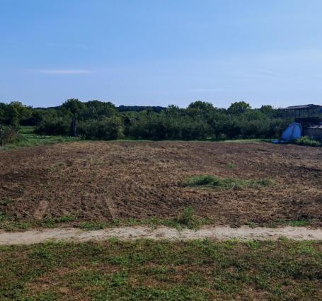Bački Breg. Građevinski plac 12ar