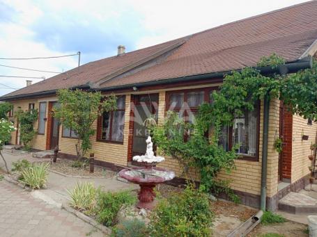 Apatin. Prizemna kuća 195m2, plac 43ar